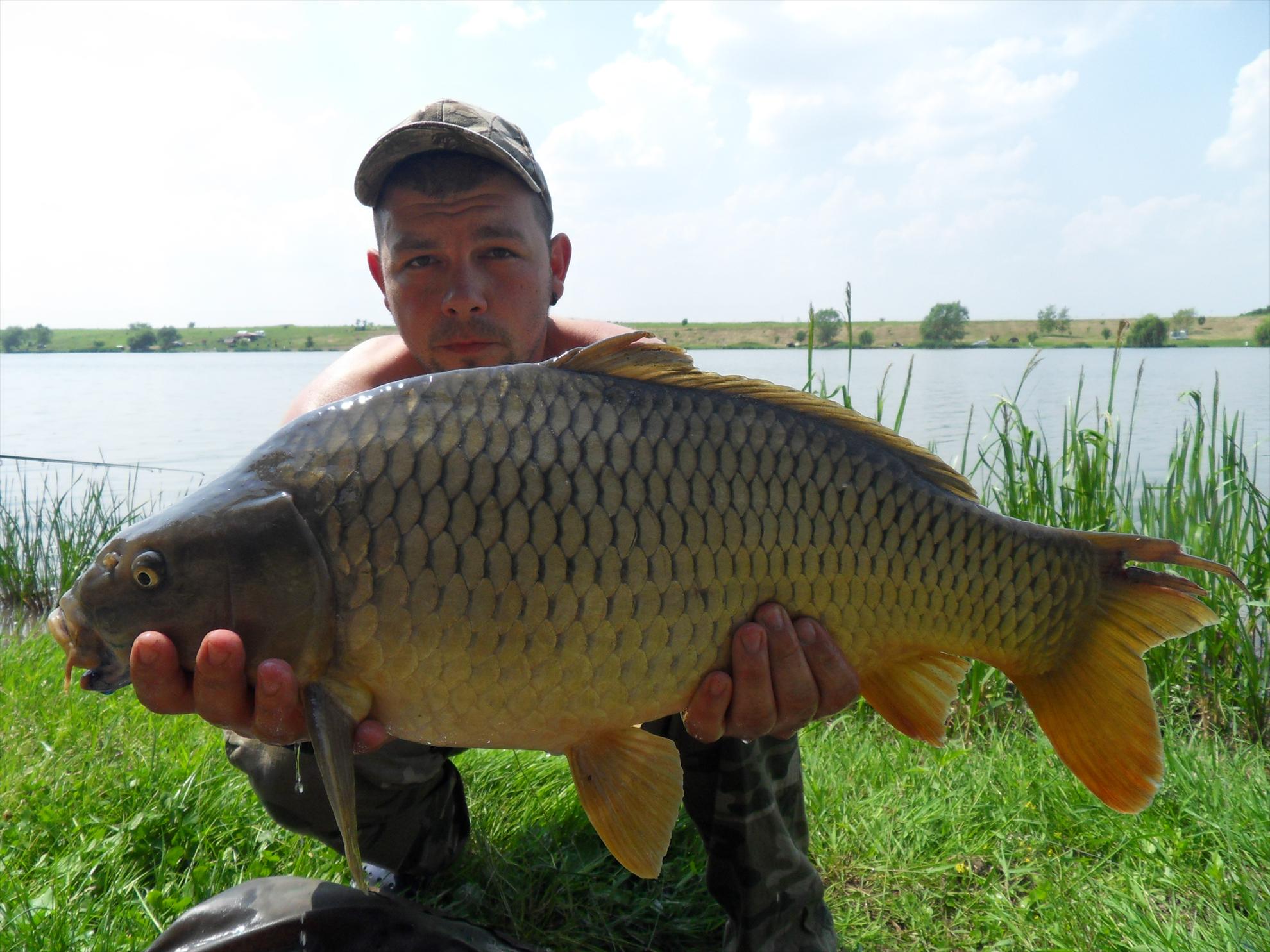 Cetariu 2011 - cetariu2011-018.JPG